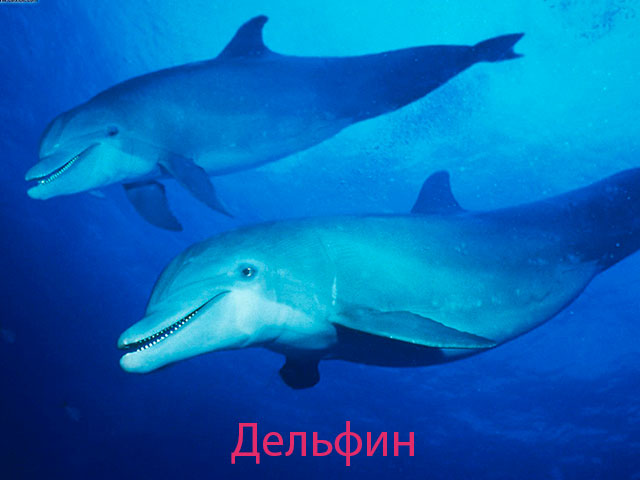 Смотреть Стихи про новый год для малышей видео Смотреть Стихи про новый год для малышей видео
