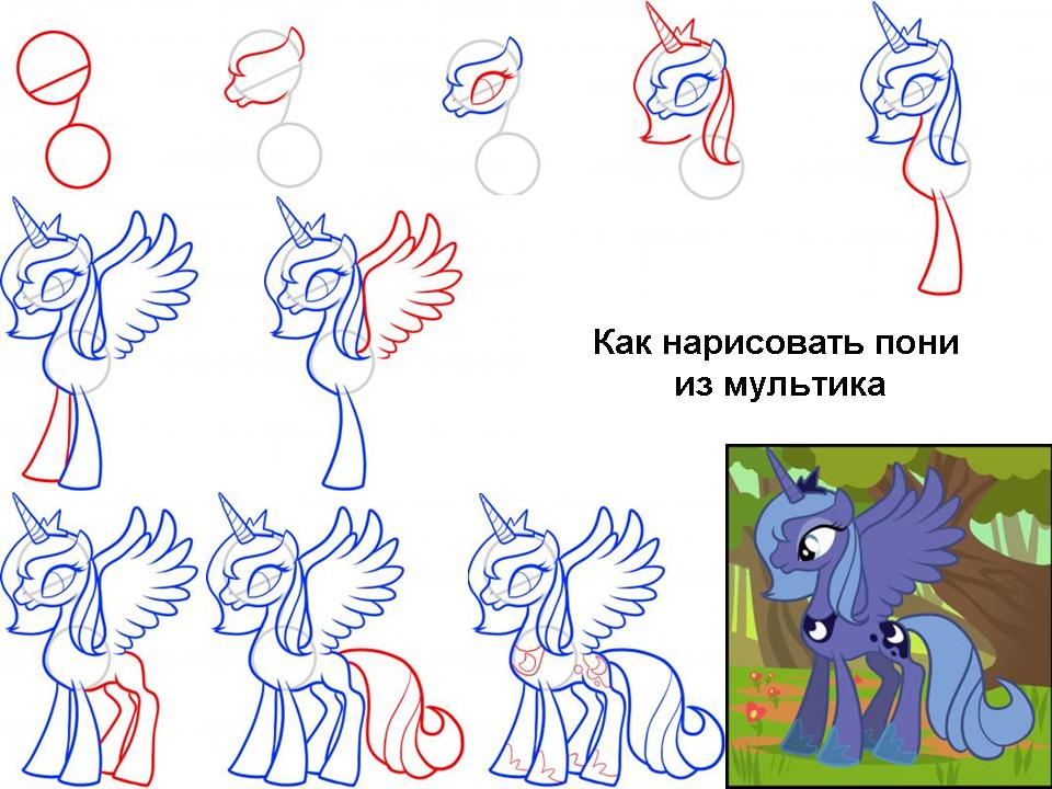 Поэтапные рисунки пони из дружба это чудо Поэтапные рисунки пони из дружба это чудо