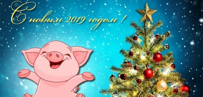 Смс Поздравления С Новым Годом Свиньи Любимому