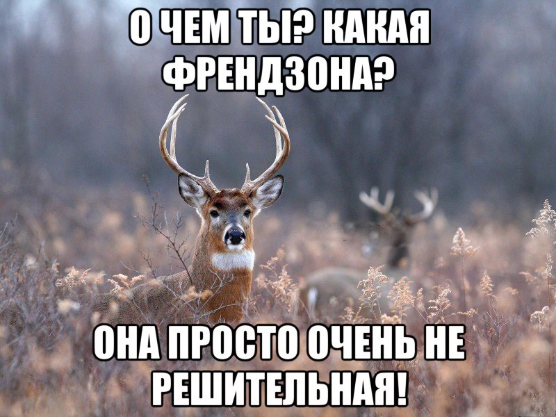 Как выйти из френдзоны, несколько полезных советов.