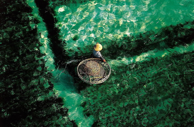 Мастер ви Yann Arthus-Bertrand
