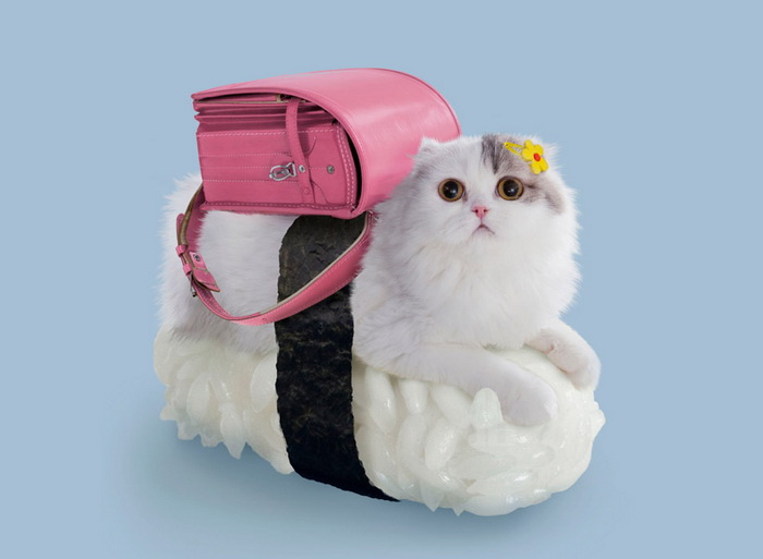 Котосуши