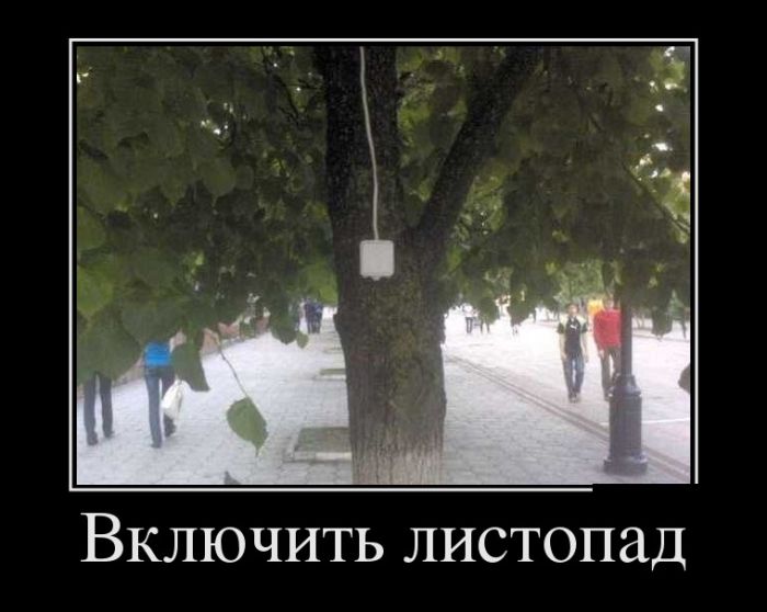 Демотиваторы для смеха