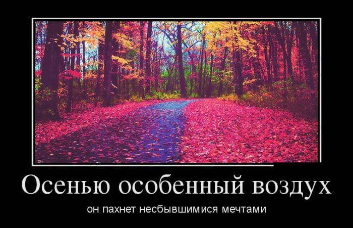 Демотиваторы приколы новые и смешные.