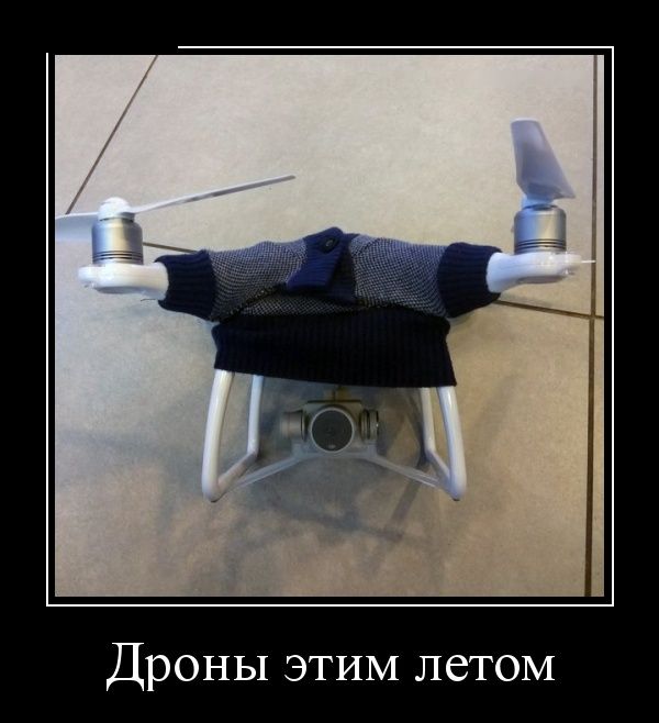 Прикольные демотиваторы, новые картинки с фразами.