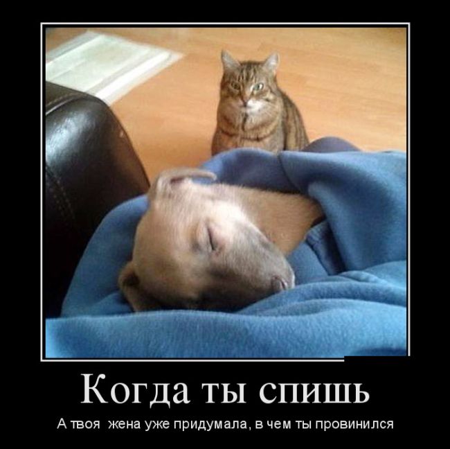 Демотиваторы, подборка новых и прикольных черных рамок.