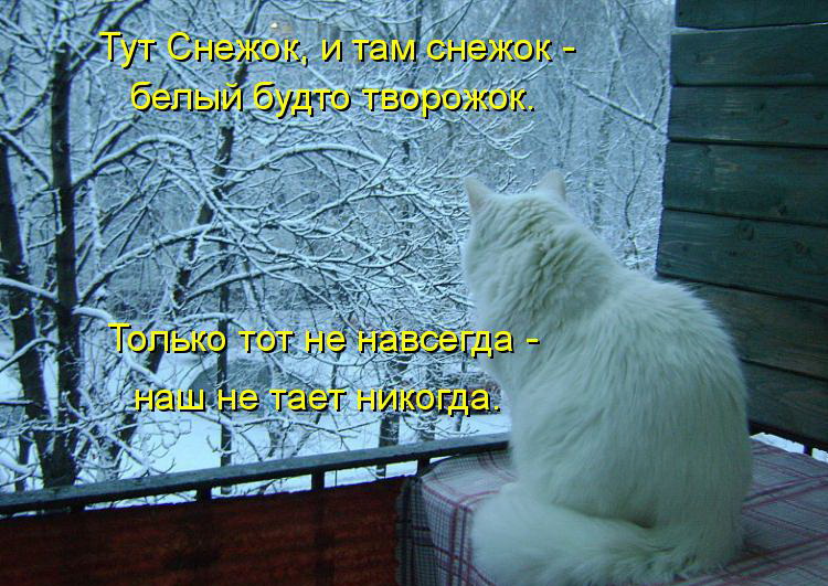 верхней прикольные картинки опять зима вернулась рецепт