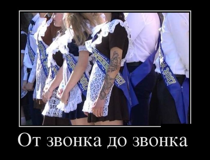 Хотели новых и прикольных демотиваторов? Вуаля )