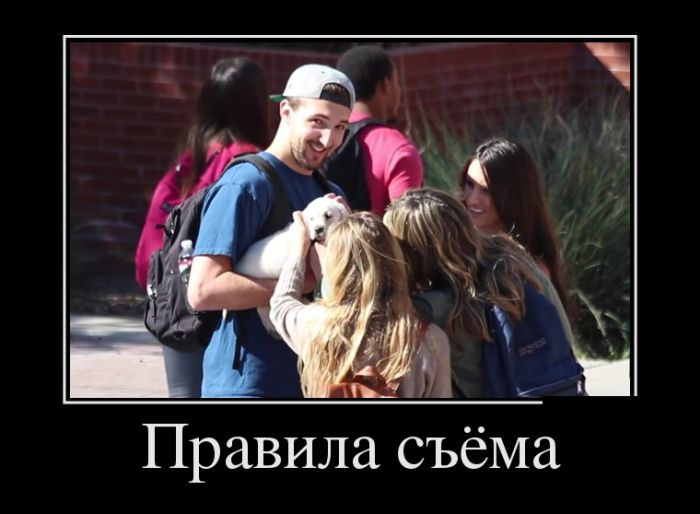 Демотиваторы приколись с новых.