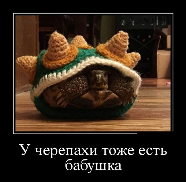 Демотиваторы смотреть нужно только новые.