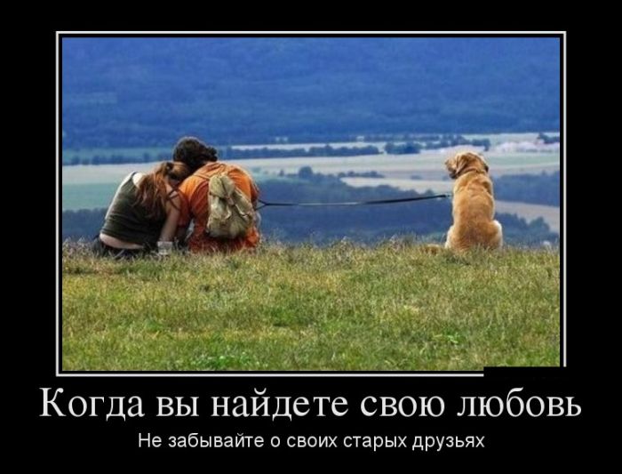 Новые демотиваторы, приколы в цитатах и фотках.
