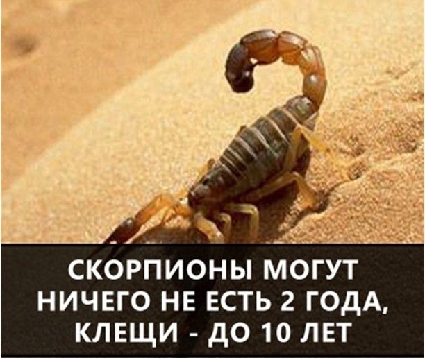 Факты Мира Фото Факты Мира Фото
