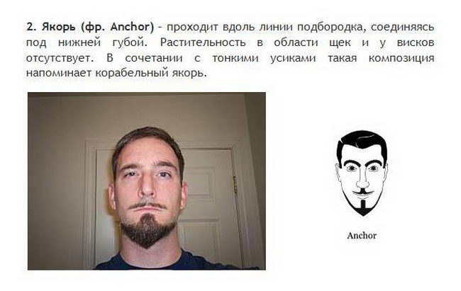 Борода и усы все разновидности