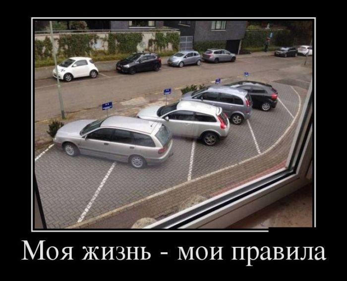 Демотиваторы, позитивней товарищи, позитивней.