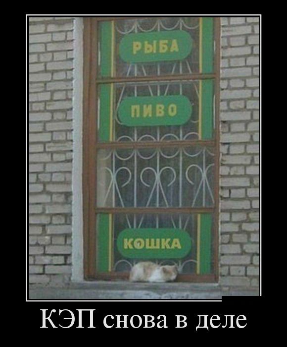 Новый демотиватор, в количестве 23 шт.