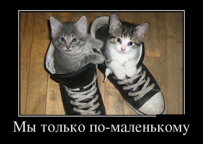 Демотиваторы, смотреть приколы всем.