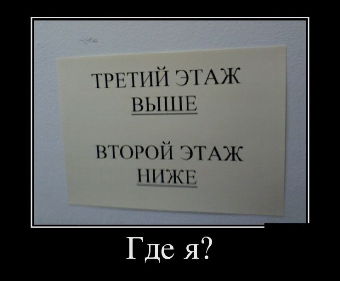 Приколы и цитаты в демотиваторах.