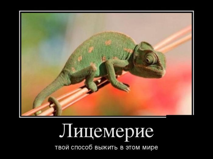 Демотиваторы, приколы для девушек и парней.