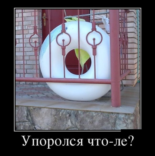 Веселые демотиваторы, делайся прикольным.