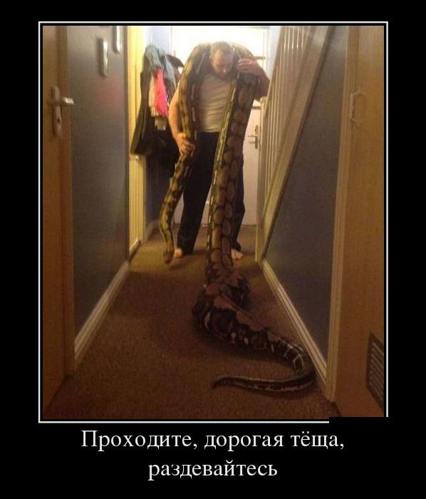 Демотиваторы, сам смотри.