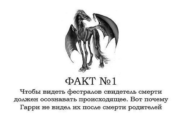 Интересные факты о Гарри Поттере.