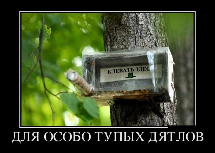 Демотиваторы. В добавку к массе остальных.