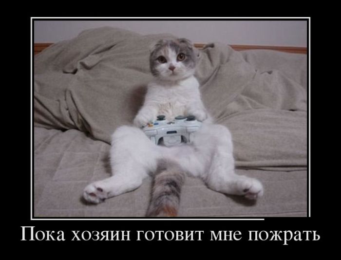 Демотиваторы на выходные.