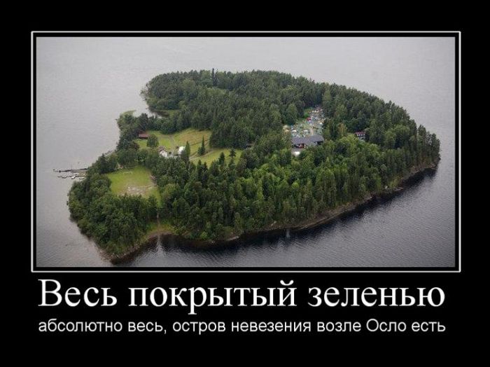 Демы с юмором новые.