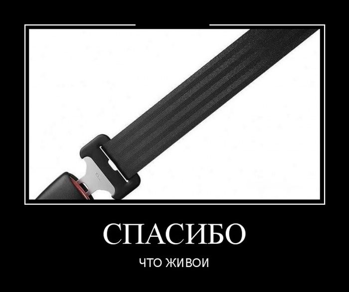Демотиваторы новые и прикольные.
