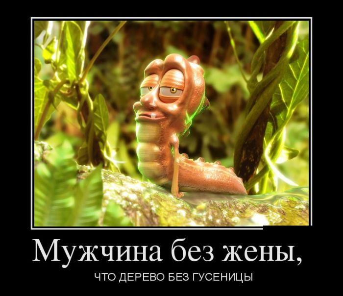 Демотиваторые новье.