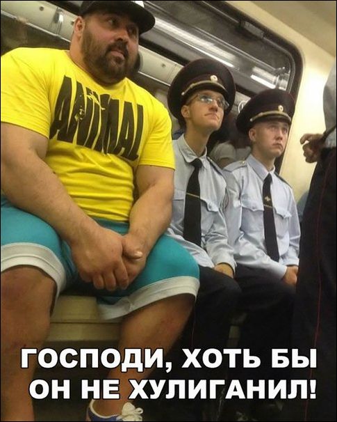 Только фото приколы, только позитив во всем!