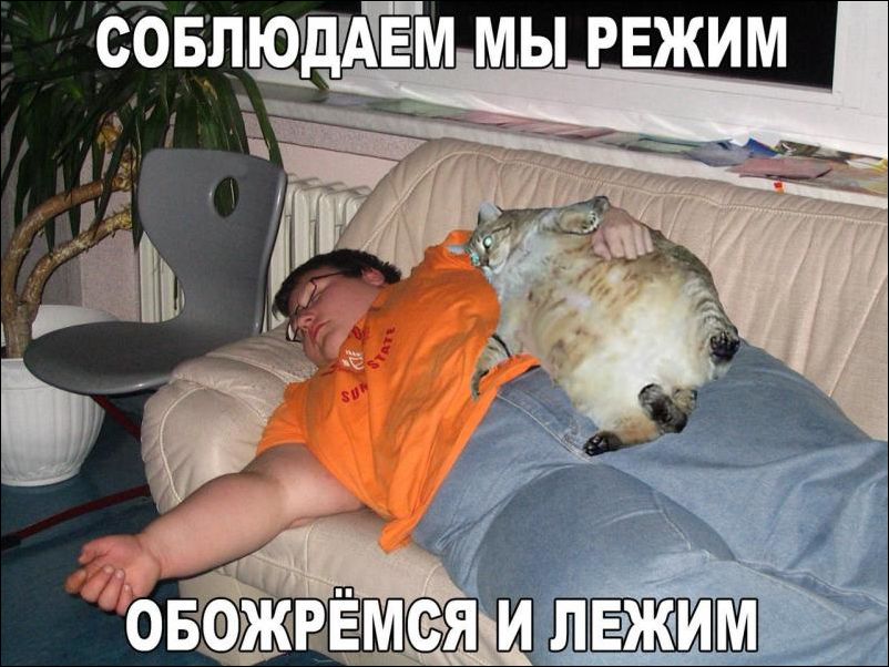 Подборка,  картинки прикольные, действуют не долго.