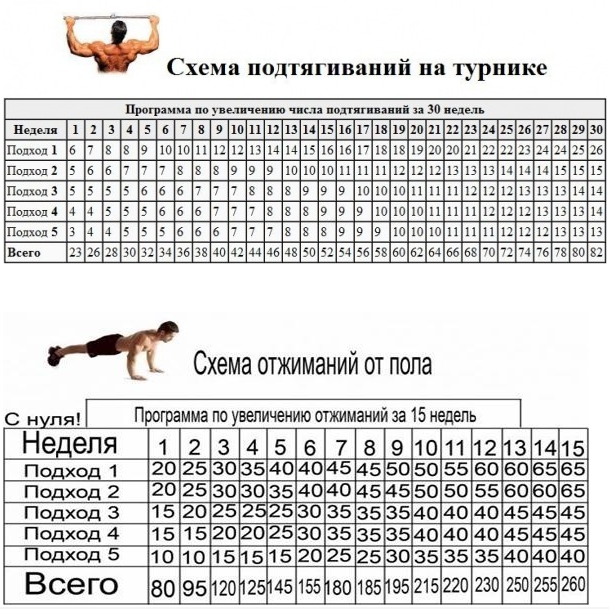 Простая но результативная схема подтягиваний и отжиманий.