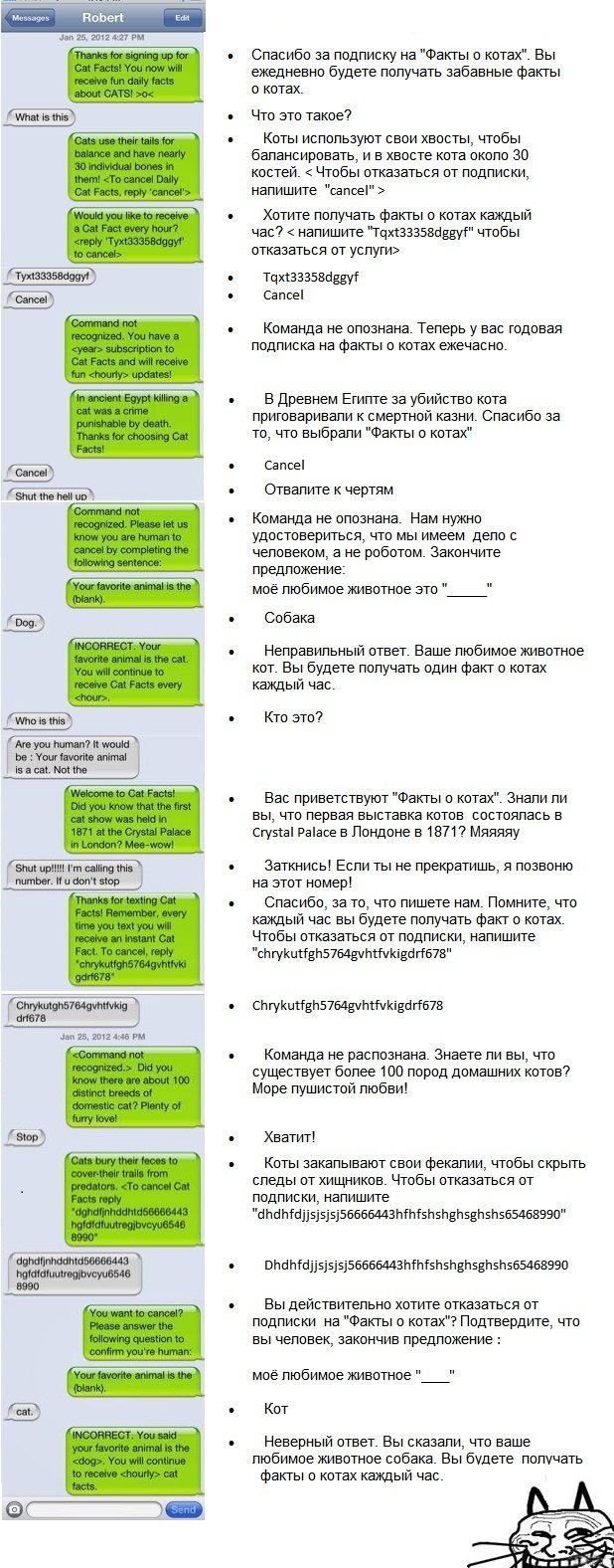Интернет подписка, розыгрыш с приколом о кошках.