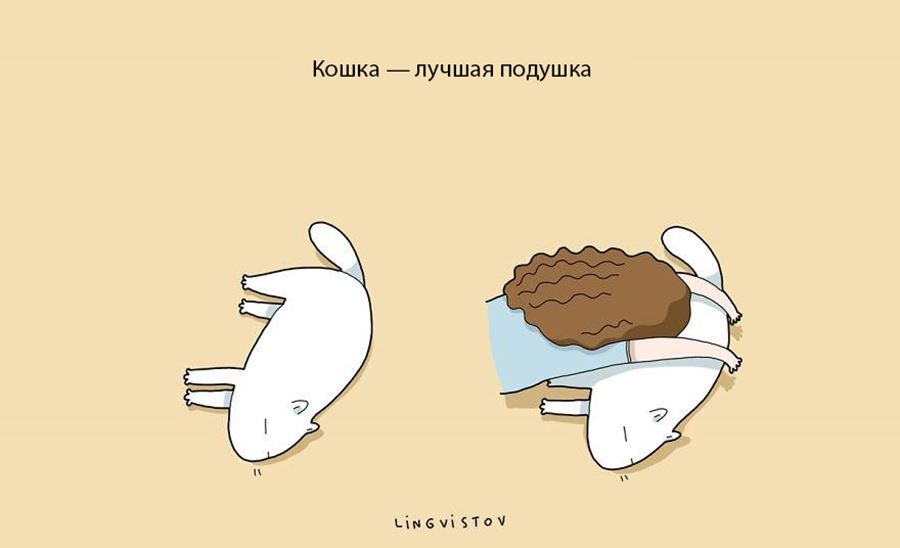 Преимущество в том, что бы завести себе кошку