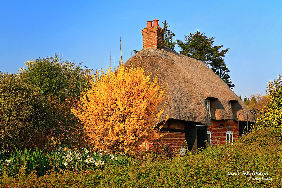 Соломенные крыши, английских деревушек