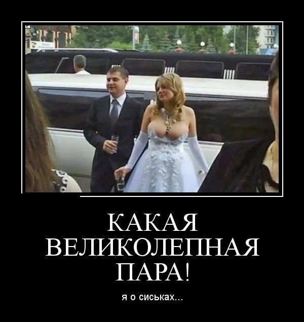 Демотиваторы для смеха