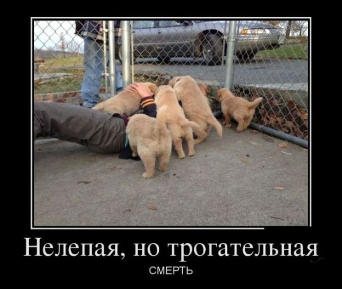 Демотиваторы с прикольным смыслом.