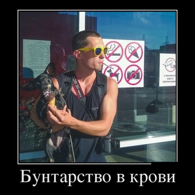 Демотиваторы со смыслом, приколы из жизни.
