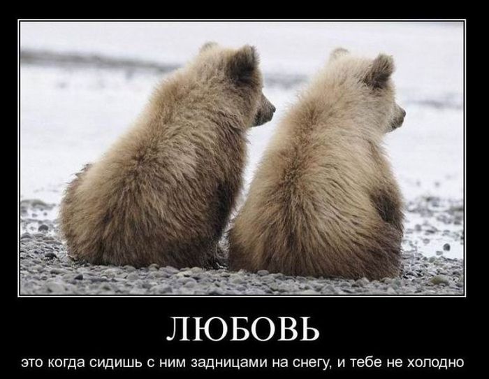 Классные демотиваторы.