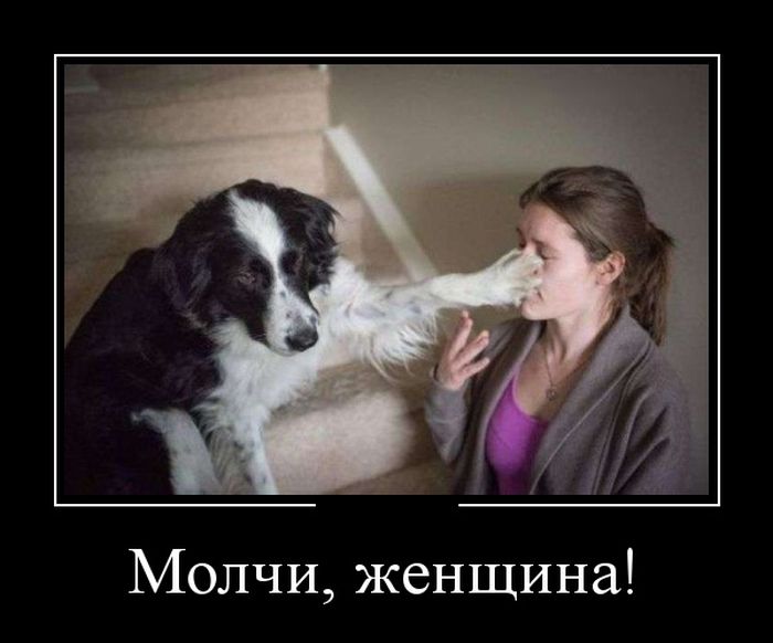 Демотиваторы прикольные, позитив дня.