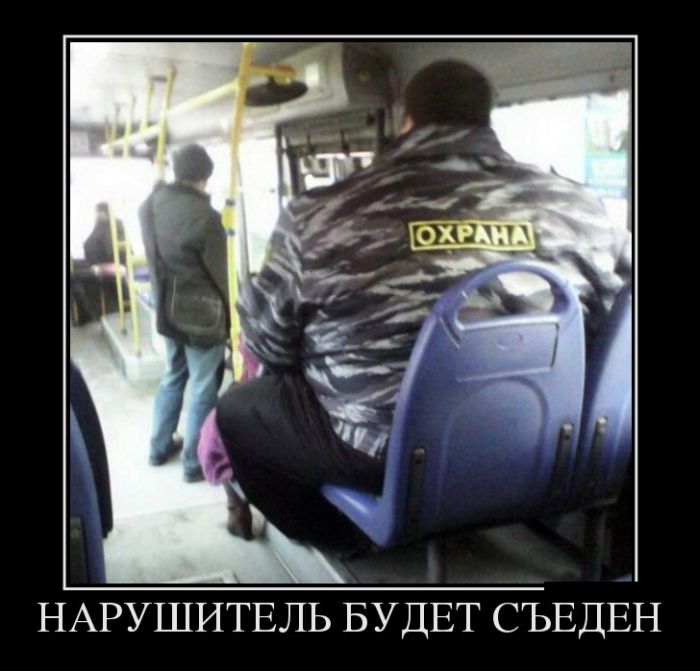 Приколы новые демотиваторы, смешные фразы и картинки.