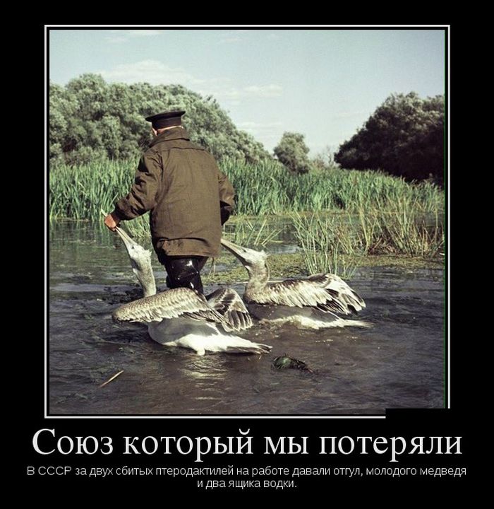 Новые демотиваторы, ну а куда без них.