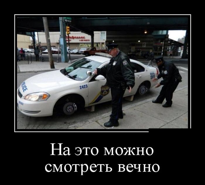 Супер демотиваторы, картинки и прикольный текст.