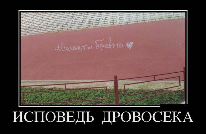 Лучшие демотиваторы на самые прикольные темы.