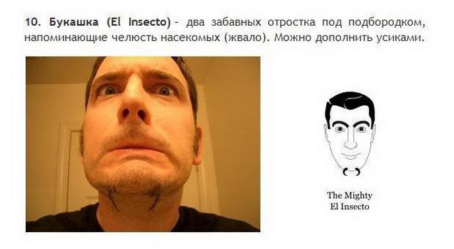 Борода и усы все разновидности