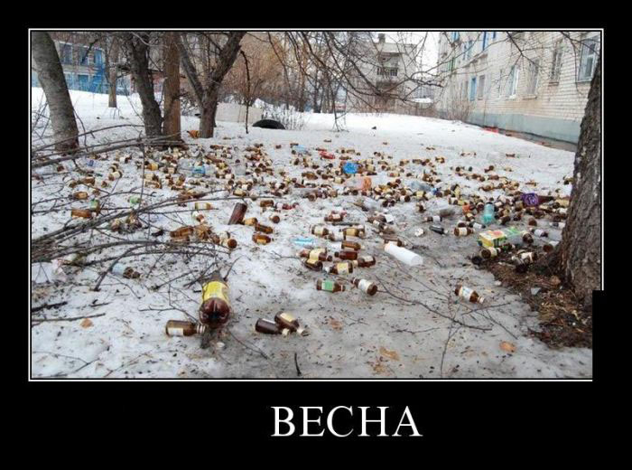 Демотиваторы поднимут любое настроение.