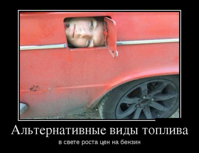 Приколы и цитаты в демотиваторах.