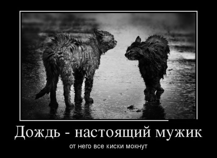 Веселые демотиваторы, делайся прикольным.