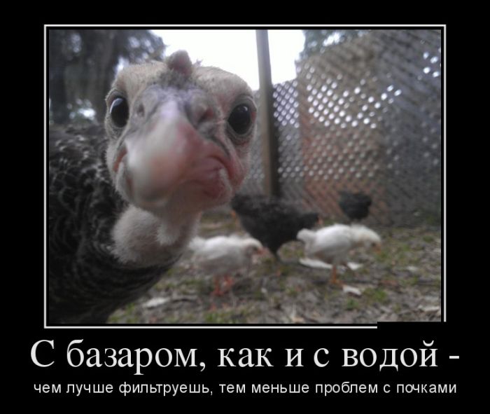 Прикольные демотиваторы, для ценителей позитива.